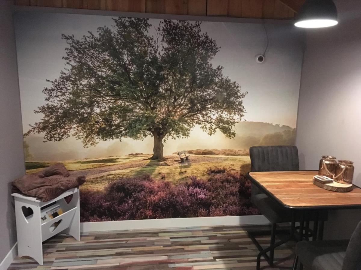 Veluwse Bos En Heide Studio 오털로 외부 사진
